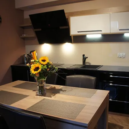 Pegaz & Aqua Marina Apartament *